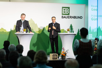 Bild 17 / 136