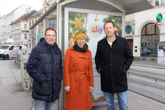 Bild 13 / 15