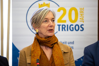 Bild 9 / 132