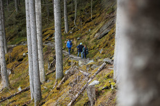 Bild 37 / 157