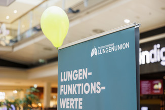 Bild 1 / 44