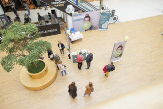 Bild 11 / 44