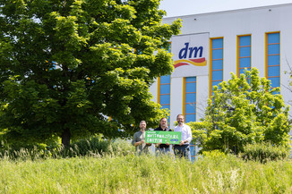 Bild 5 / 6