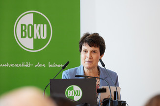 Bild 7 / 37