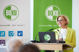 Bild 20 / 37
