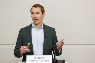 Bild 8 / 19