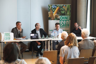 Bild 5 / 12