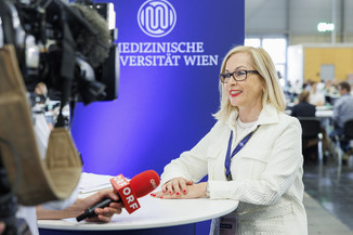 Bild 15 / 17