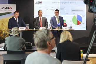 Bild 6 / 19
