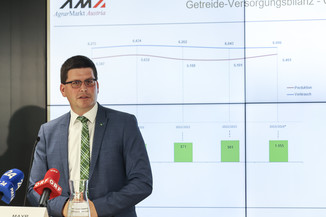 Bild 12 / 19