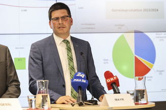 Bild 14 / 19