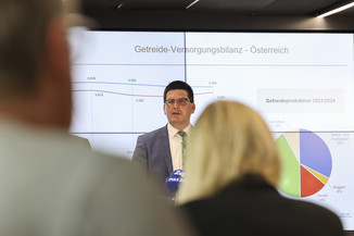 Bild 15 / 19