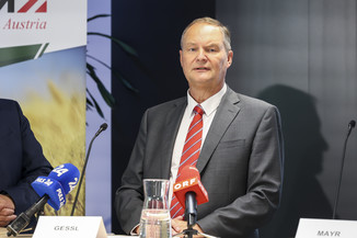 Bild 19 / 19