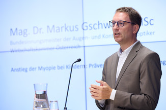 Bild 8 / 19