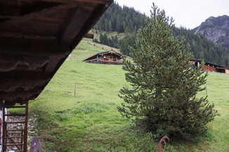 Bild 115 / 147