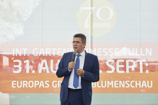 Bild 7 / 46
