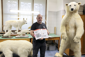 Bild 15 / 61