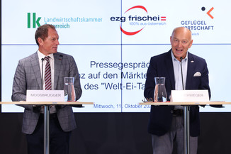 Bild 8 / 46