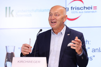 Bild 11 / 46