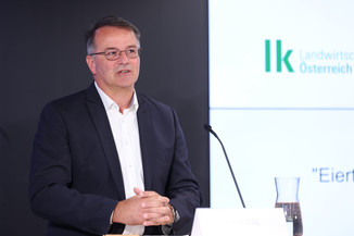 Bild 19 / 46