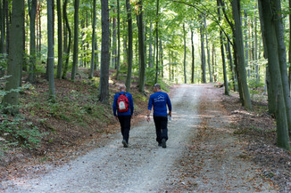 Bild 72 / 211