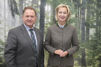 Bild 67 / 230