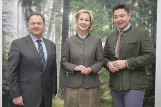 Bild 69 / 230