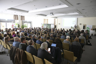 Bild 196 / 230