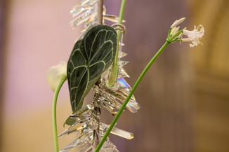 Bild 182 / 190