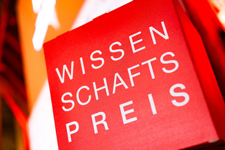 Bild 13 / 52