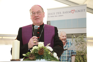 Bild 8 / 8