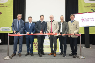 Bild 3 / 134