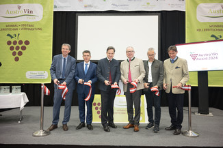 Bild 4 / 134