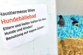 Bild 53 / 78