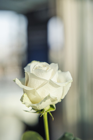 Bild 4 / 56