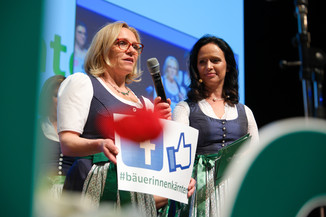 Bild 39 / 135