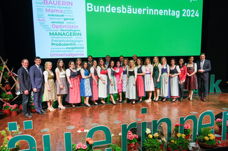 Bild 123 / 135