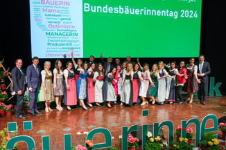 Bild 124 / 135