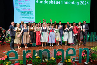 Bild 126 / 135