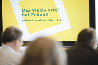 Bild 8 / 21