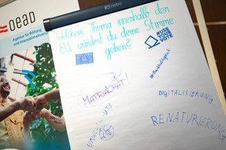 Bild 78 / 147