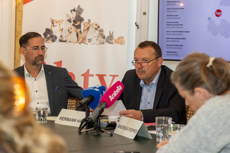 Bild 7 / 17