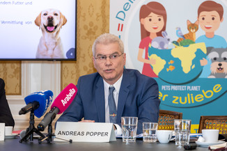Bild 8 / 17
