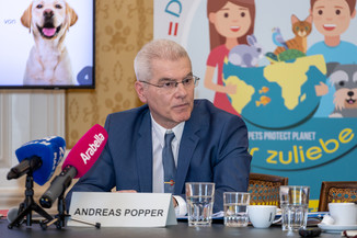 Bild 9 / 17