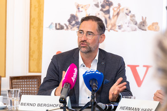 Bild 12 / 17