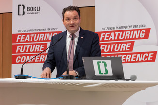 Bild 72 / 397