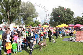 Bild 5 / 25