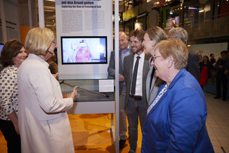 Bild 141 / 168