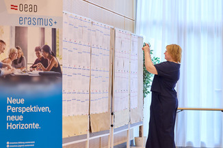 Bild 344 / 571