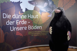 Bild 5 / 43